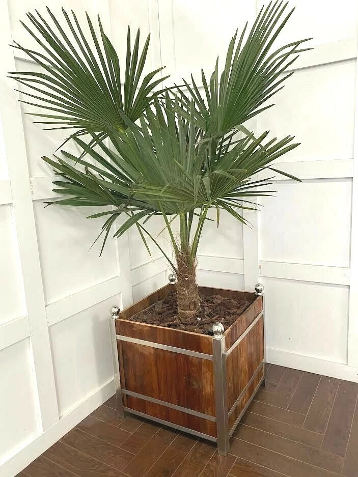 Large Teak Walnut and Chrome Plant Pot Indoor Outdoor Garden Furniture Planters