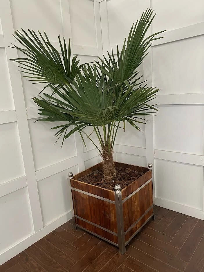 Large Teak Walnut and Chrome Plant Pot Indoor Outdoor Garden Furniture Planters