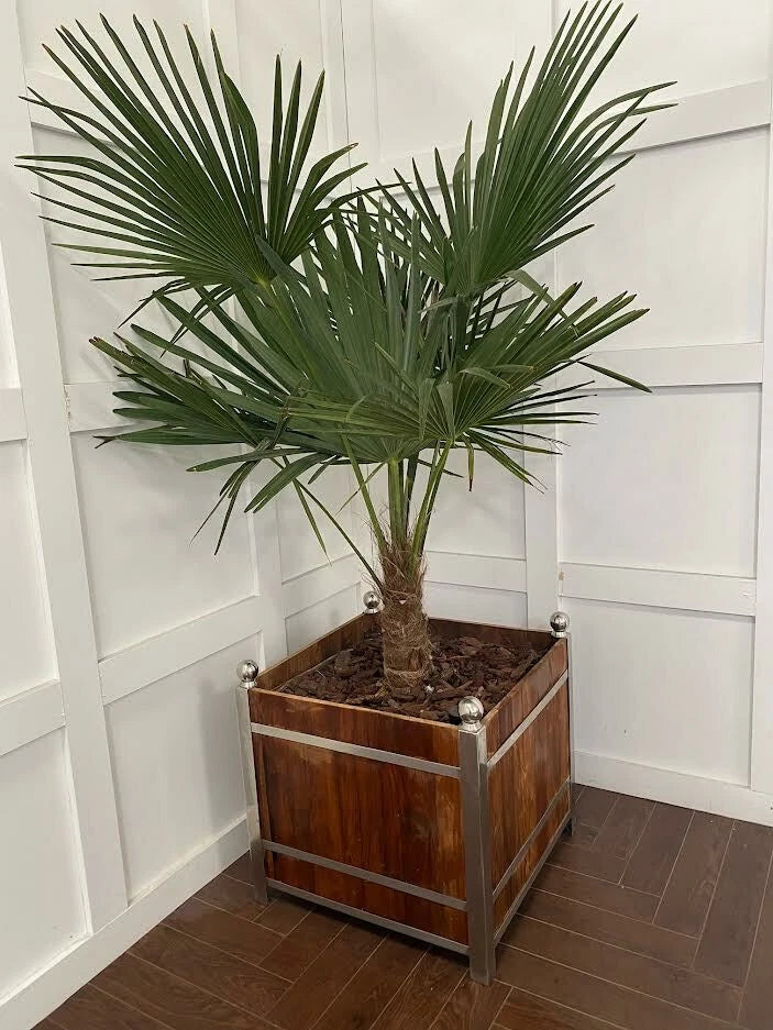 Large Teak Walnut and Chrome Plant Pot Indoor Outdoor Garden Furniture Planters